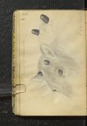 Seite 