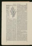 Seite 