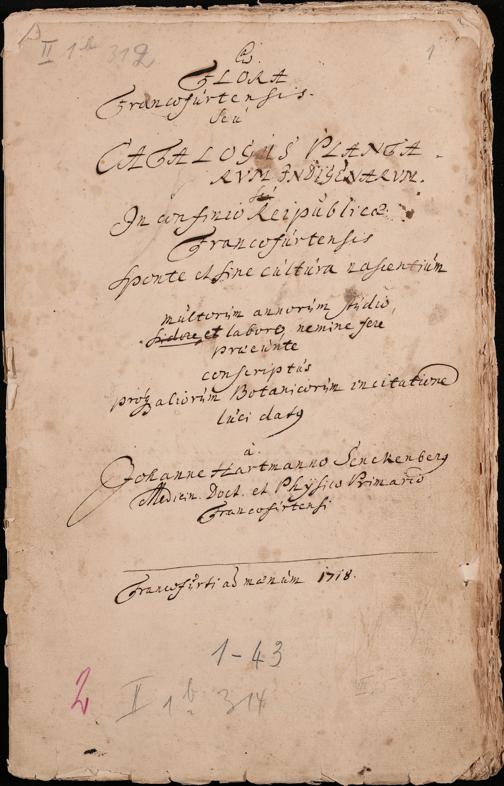 Zur Seitenansicht