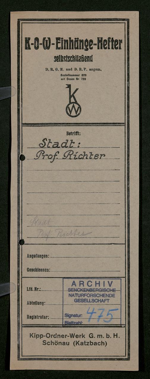 Zur Seitenansicht